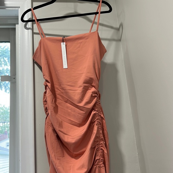 Susana Monaco Ruched Dress in Blush - Picture 2 of 7